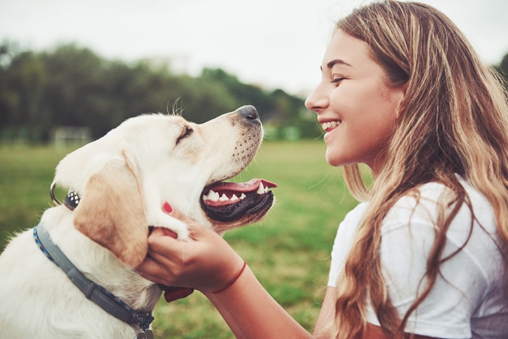 Frame with a beautiful girl with a beautiful dog in a park on green grass. Dogs’ mouths are cleaner than humans’: urban myth, or is there some truth there? Either way, we’ve all likely heard the statement before, and promptly pictured our furry friend licking themselves or eating dirt.